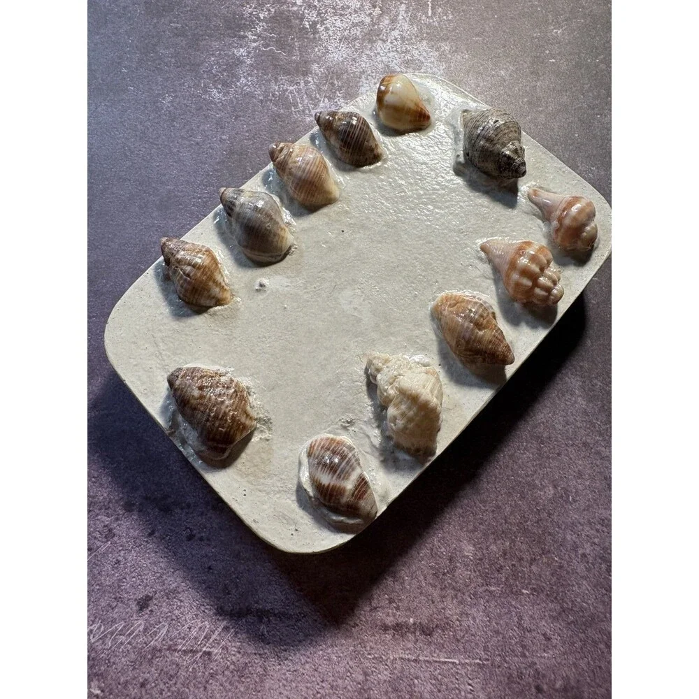 Handmade Soap Dish Cement Soap Holder Bathroom Kitchen Sea Shells